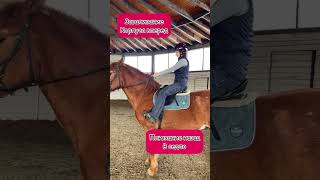 Строевая рысь. Как правильно облегчаться. #horseriding #horse #equestrian #pony