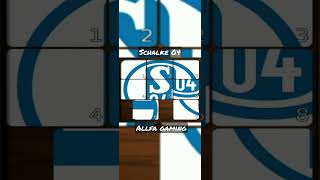 PUZZLE Schalke 04 #shorts #youtubeshorts #viral #allfagaming #game #puzle #tiktok #slebew #schalke04