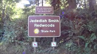 Let's Take a Ranger Tour Thru the Redwood Forest