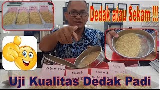 Dedak atau Sekam Padi !!! Cara Uji Cepat Kualitas Dedak Padi # Uji Murah # Uji Cepat