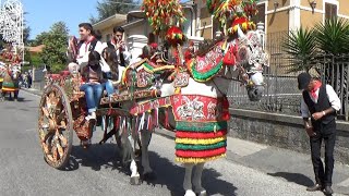 Sfilata di carretti siciliani per la Festa di Sant'Alfio a Trecastagni