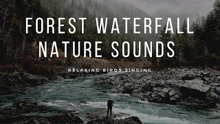 forest waterfall nature sounds with relaxing birds singing sound for sleeping -  2020 -