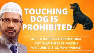 Touching the Dog is Prohibited Due to Rabies & Hydrophobia but now there is a Vaccine for Curing it.