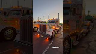 Mr Dane Nelson Peterbilt 389 slammed out #mrbeast #diesel #trucking #trailer #trucker #peterbilt