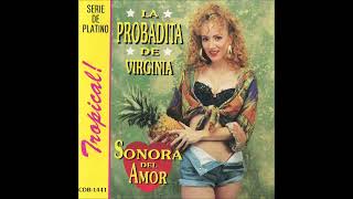 Sonora Del Amor - Enganchado (La Probadita De Virginia - 1994)