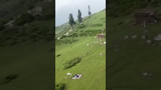 Mera pakistan