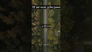 sahih bukhari hadees number 17 |Hadees sharif #islam #reels