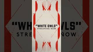 🚨 NEW SONG ALERT 🚨 Our new song “WHITE OWLS” is out now!! Check it out on Spotify & Apple!! #shorts