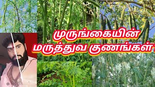 முருங்கையின் மருத்துவ குணங்கள் ? ஓம் நமசிவாய போற்றி போற்றி ஓம் வளை அம்மா போற்றி போற்றி ஓம் நமசிவாய