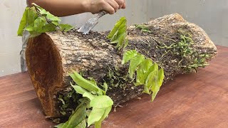 Most Unique Coffee Table Design Ideas // Amazing Skills Of Young Carpenter With Ancient Tree Trunk