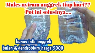 cara membuat pot anggrek dari botol bekas #anggrek #unboxinganggrek #merawatanggrek #potanggrek