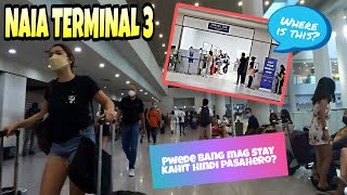 Exploring Naia Terminal 3: Uncovering The Secrets Of Levels 2 And 3