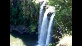 whangarei waterfall