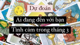 CHỌN MỘT TỤ BÀI: DỰ ĐOÁN TÌNH CẢM THÁNG 3 - AI ĐANG ĐẾN VỚI BẠN?