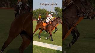 The Umaid Bhawan palace Cup 2023 Jodhpur polo 🏇 #jodhpur #umaidbhawan #polo #rajasthan #bluecity