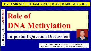 Role of DNA methylation | 5-Methyl cytosine