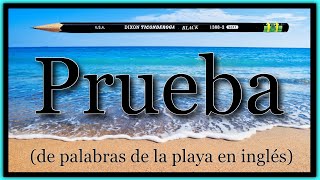 APRENDE INGLÉS AMERICANO 🇺🇸  PRUEBA de Palabras y Frases de La Playa 🏖️