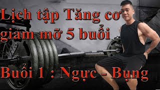 Lịch tập Gym tăng cơ giảm mỡ tuần 5 buổi : Buổi 1 Ngực - Bụng | Hướng dẫn tập ngực hiệu quả