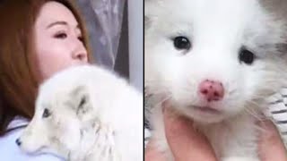 Mulher Adota "Cachorrinho" E Lentamente Foi Descobrindo Que Ele Na Verdade Não Era Um Cachorro