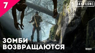 ➤ DAYS GONE (ЖИЗНЬ ПОСЛЕ) - ПРОХОЖДЕНИЕ №7 ➤ ВСПОМИНАЕМ ИГРУ #daysgone