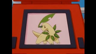 Bayleef Pokédex Entry..wmv