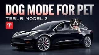 Tesla Model 3: 2025 Upgrades & Fun Features