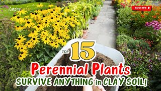 15 PERENNIAL PLANTS That'll SURVIVE ANYTHING in CLAY SOIL! 💪🌸🌻