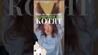 НЕДЕЛЮ мыла голову ШАМПУНЕМ для КОТЯТ! #vlog #влог #челлендж