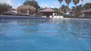 Swimming pool Plaza Beach Resort Bonaire 2017.