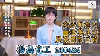 揚農化工 | 600486  | 中國農藥龍頭 |  pesticide｜agricultural chemicals