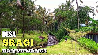 Desa Sragi | Desa Lereng Gunung Raung | Banyuwangi