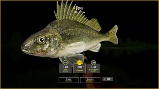 Трофейный Ёрш. Закрытие водоёма. Река Белая. Русская рыбалка 4 | Russian Fishing 4