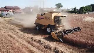 Campagna Grano 2021 - New Holland TF 76 - Drone view