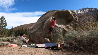 Mama Cat Arete (V5)