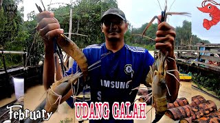 TEPAT DI SARANG UDANG GALAH STRIKE + SANGKUT + MOCEL #vlog7 #shrimpfishing #mancingudang