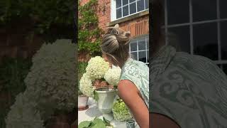 Make this Hydrangea flower display with me #flowerarrangement #floraldesign