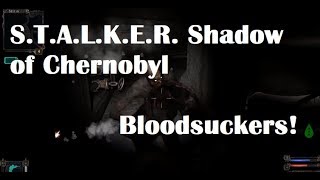 S.T.A.L.K.E.R.: Shadow of Chernobyl - Bloodsuckers First Encounter