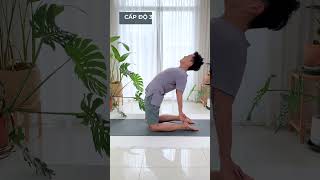 Tư Thế Yoga Lạc Đà: Lợi Ích, Lỗi Sai, và Hướng Dẫn Định Tuyến | Nguyên Yoga