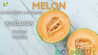 Melon 🍈  | Melon In Different Languages | Who Dose Not Like Melon ?