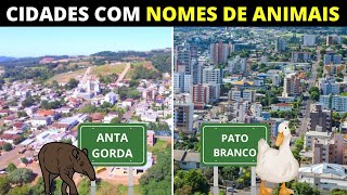 12 CIDADES COM NOMES DE ANIMAIS NO BRASIL