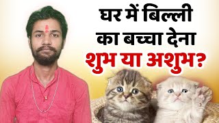 Ghar me billi ka baccha paida karna shubh ya ashub | बिल्ली का बच्चा देना घर में शुभ या अशुभ |