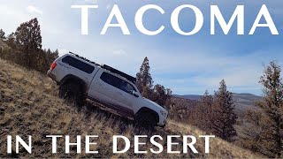 Tacoma Cruising the High Desert