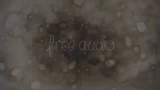 Free Audio - You gave up on me