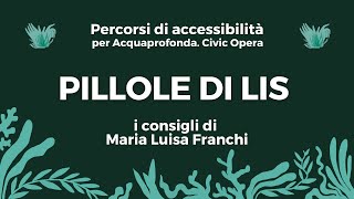 Acquaprofonda. Civic Opera - Pillole di LIS: indicare lontananza