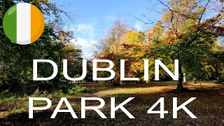 Dublin Walk Tour | Mount Merrion Park | 4K Walking | Relax & Explore | Ireland 🇮🇪 | Travel