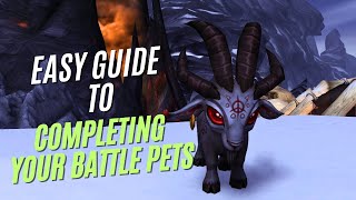 WOW: The War Within - Complete Your Battle Pets Quest & Elite Battles NOW! | Full Guide