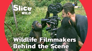 Adventures and Mishaps of Wildlife Filmmakers | SLICE WILD