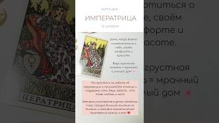 🌸 КАРТА ДНЯ 13 ОКТЯБРЯ #tarotube #tarot #таро #картытаро #таролог