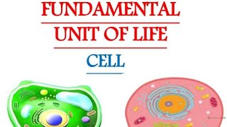 Biology Ch 1 class 9 NCERT - The fundamental unit of life| Explained in only 16'minutes|