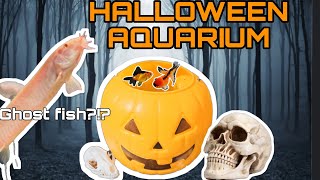 HALLOWEEN AQUARIUM BUILD !?! (Ft. MY ALBINO EEL)